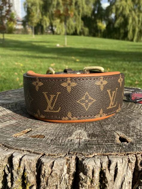 louis vuitton collar for dog|Louis Vuitton dog collar small.